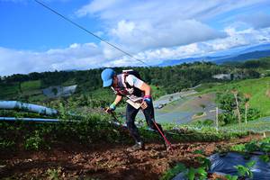 BIB: 8237
                            <button type="button" onclick="openModal(13381538)" class="btn btn-primary btn-sm float-right btn-popup" data-toggle="modal" data-target=".modal-high-quality">
                        <i class="fas fa-shopping-cart"></i> Add to Cart
                    </button>
                                            <button type="button" onclick="isThisMe(13381538, true)" class="btn btn-success btn-sm float-right btn-popup btn-isme hidden" data-toggle="tooltip" data-placement="bottom" title="นี่คือรูปของคุณใช่ไหม คลิกที่นี่เพื่อเอาเข้าอัลบั้ม">
                        <i class="fas fa-plus"></i> Add to album
                    </button>
                    <button type="button" onclick="isThisMe(13381538, false)" class="btn btn-warning btn-sm float-right btn-popup btn-isnotme hidden">
                        <i class="fas fa-ban"></i> Remove from album
                    </button>